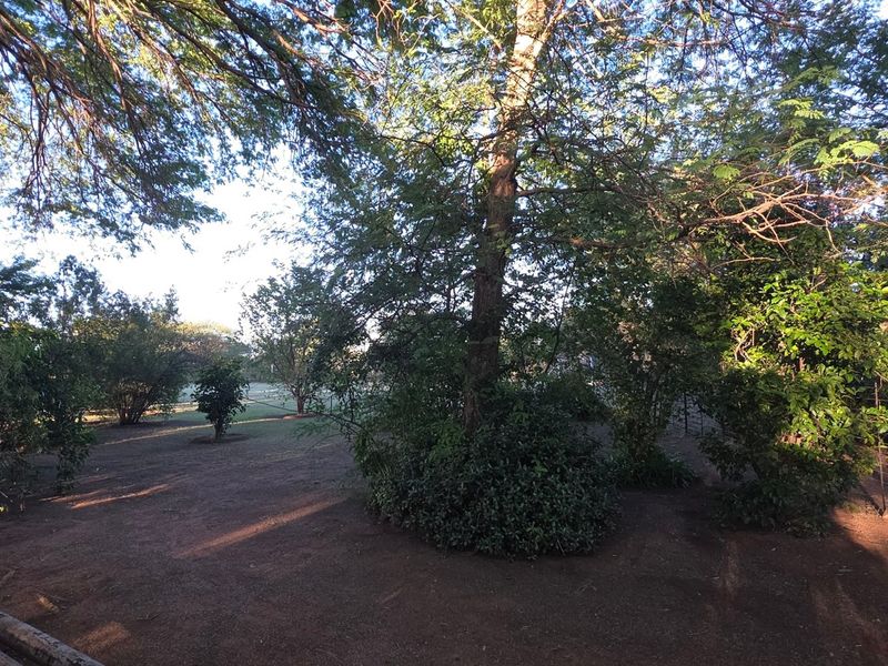A spacious garden area featuring mature trees, established shrubs, and perimeter wire fencing on the small holding property.
