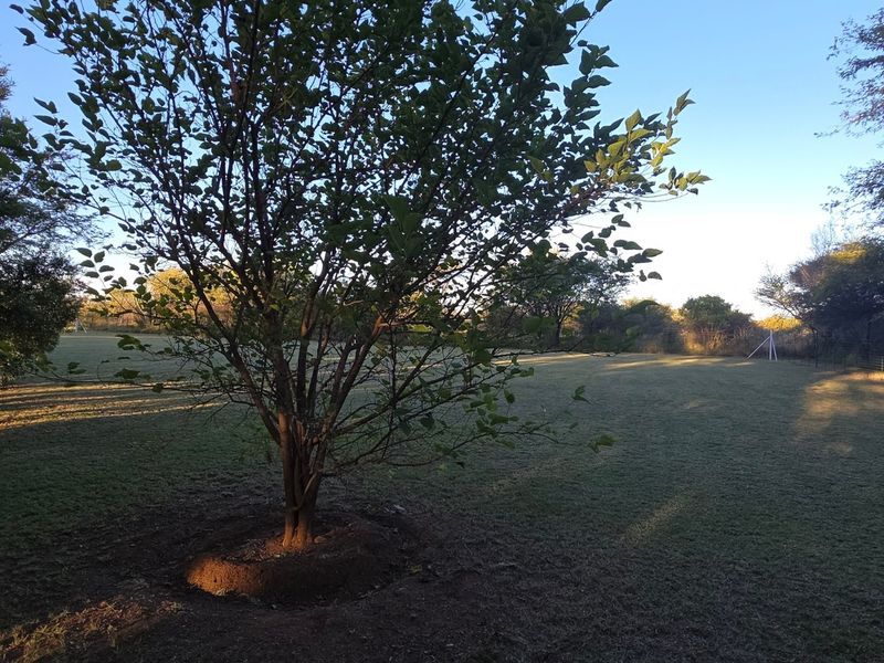 A spacious, well-maintained garden area featuring established trees, expansive lawn, and perimeter fencing, offering a peaceful outdoor setting.