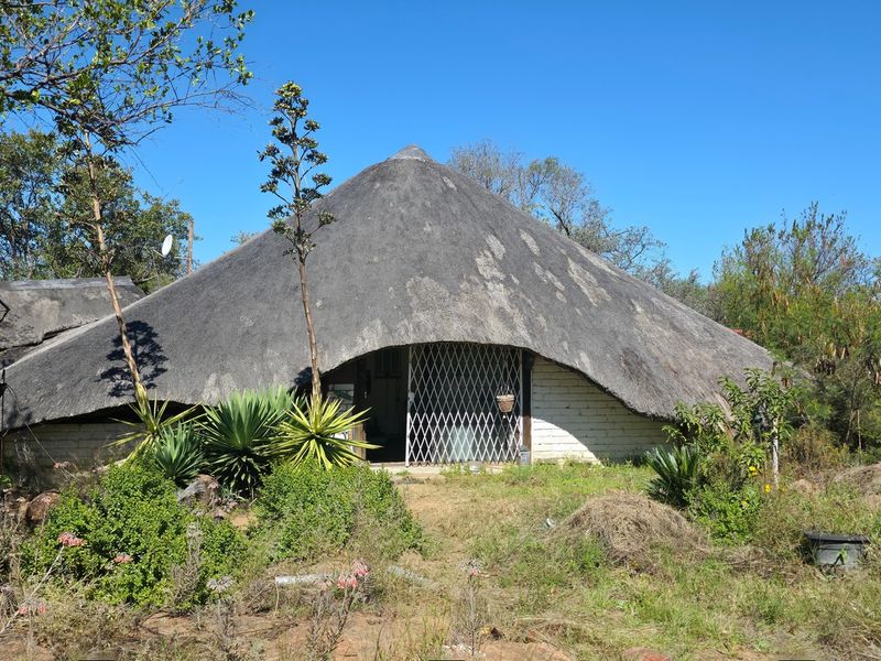 Front view of a traditional thatch-roofed dwelling featuring brick walls and a security gate, set within a natural, overgrown landscape.