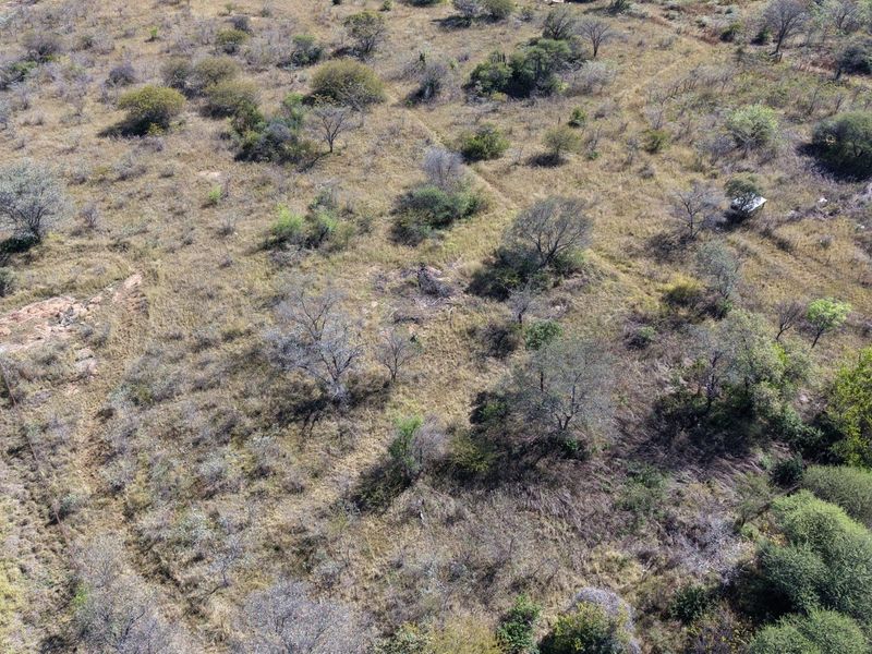 An aerial view of the expansive small holding land, featuring natural vegetation, indigenous trees, and perimeter fencing.