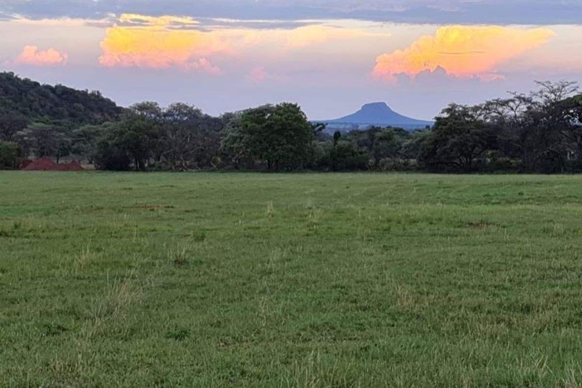 A scenic view of open grassland with mature trees and a distant mountain silhouette under a sunset sky.