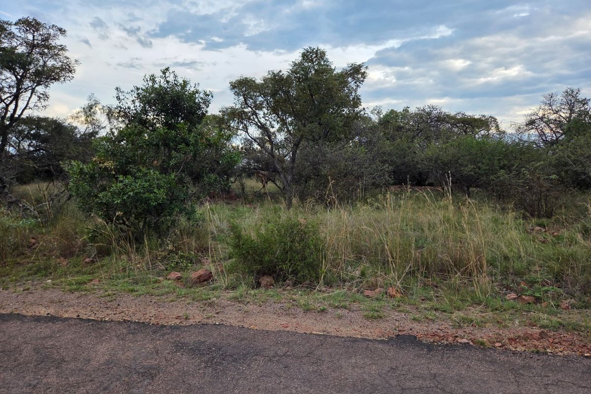 A view of a vacant residential plot featuring natural indigenous vegetation and mature trees, with direct access from an asphalt road.