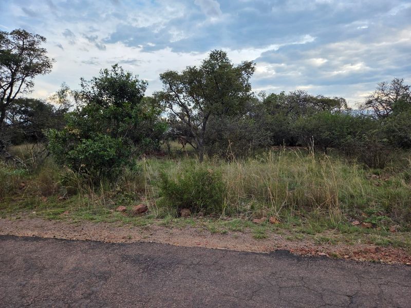 A view of a vacant residential plot featuring natural indigenous vegetation and mature trees, with direct access from an asphalt road.