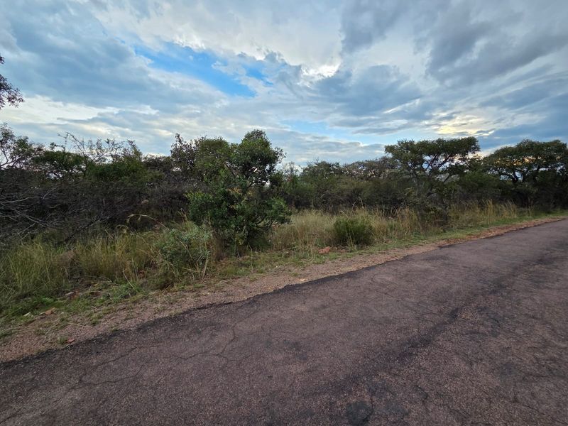 A view of the paved road frontage adjacent to the vacant residential land, featuring natural bushveld vegetation and a cloudy sky.