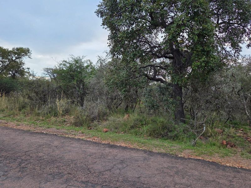 A view of the street frontage showing natural bushveld vegetation and mature trees bordering an asphalt road.