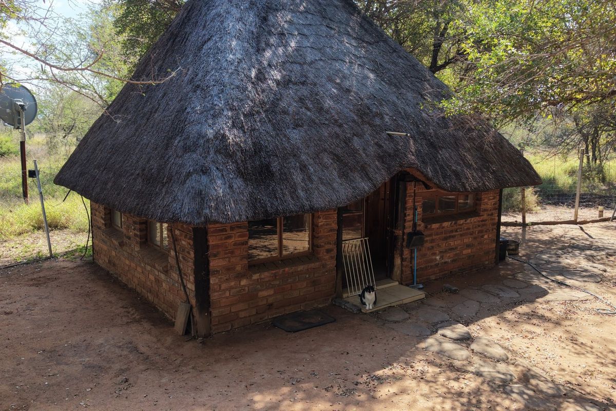 A rustic farm-style cottage featuring traditional thatch roofing, exposed brick exterior walls, and timber-framed windows set within a natural bushveld environment.