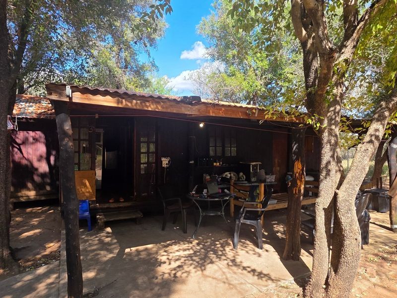 A rustic covered patio area featuring timber construction and a corrugated metal roof, set within a natural wooded farm environment.