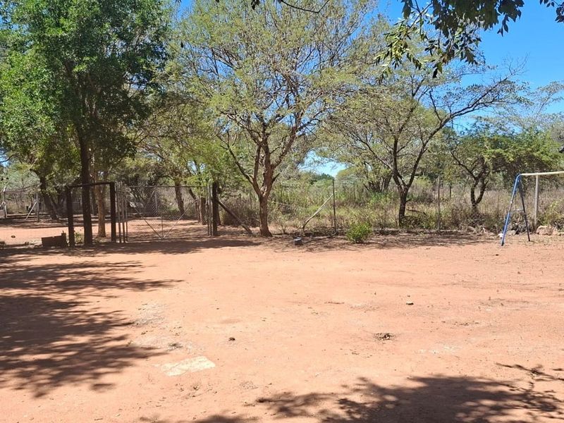 A large, open outdoor area on the farm property featuring natural ground cover, mature trees, and perimeter wire fencing with a metal gate.