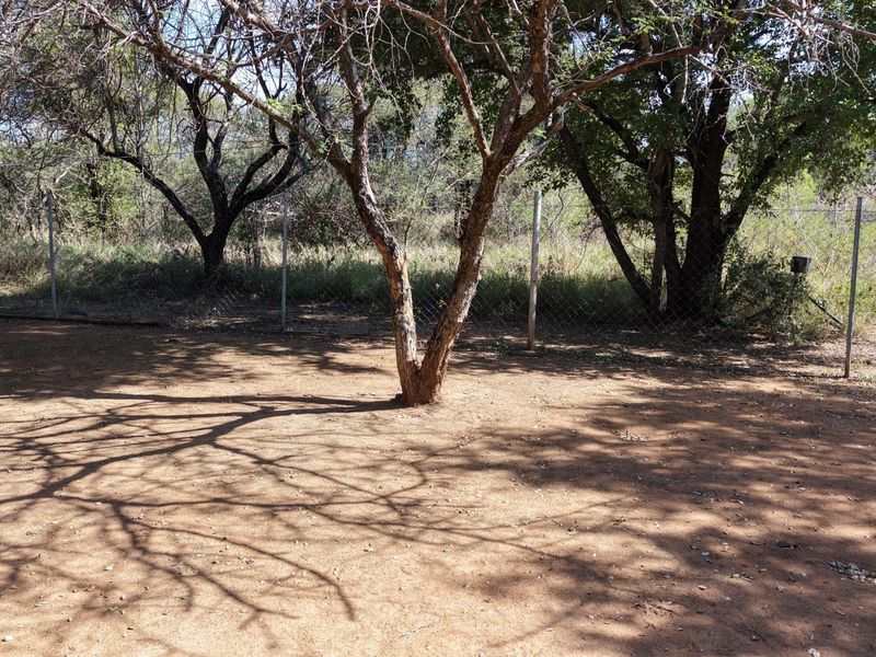 A natural outdoor garden area featuring mature trees and perimeter wire mesh fencing on a farm property.