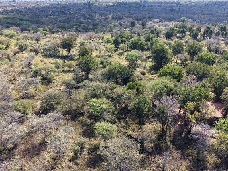 An aerial view of the expansive farm property featuring dense native woodland and natural landscape.