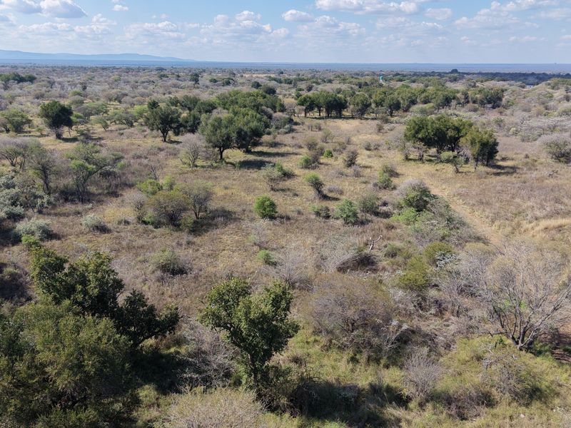 An aerial view of expansive, undeveloped farm land featuring native trees, shrubs, and a natural landscape under a clear sky.