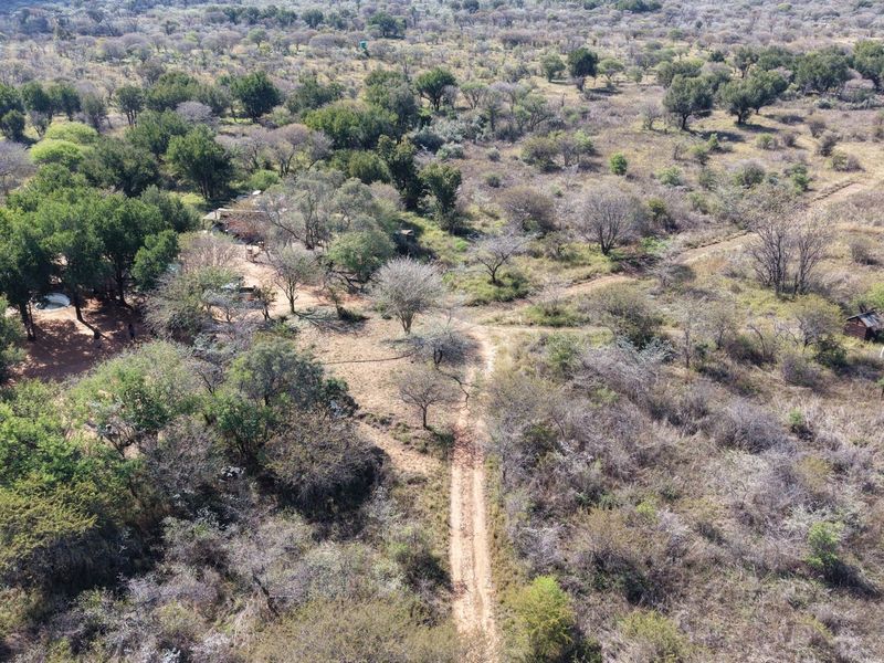 Aerial view of the expansive farm property featuring natural bushveld, established trees, a dirt access road, and a water storage tank.