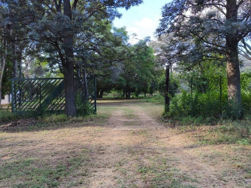 A view of the property entrance featuring a metal gate, electric fencing, and a natural dirt driveway surrounded by mature trees.