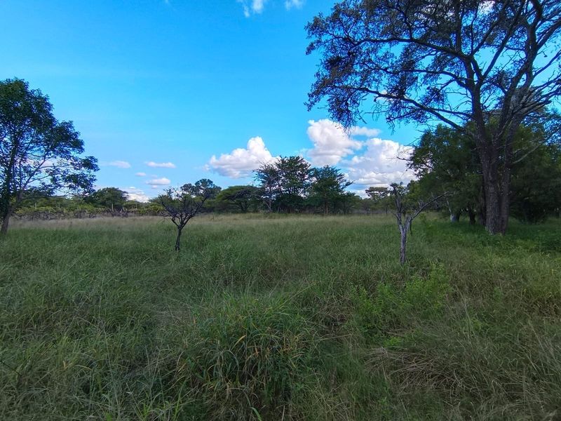 A view of the expansive farm grounds featuring mature trees and natural grassland, offering a peaceful and open rural landscape.