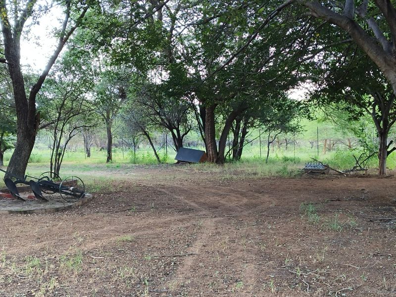 A natural, wooded garden area on the farm property featuring mature trees and perimeter fencing.