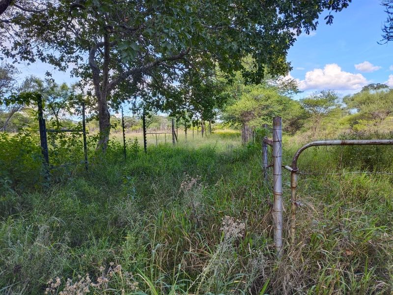 A view of the farm perimeter featuring overgrown vegetation, wire fencing, and a rusted metal gate with electric fencing infrastructure.