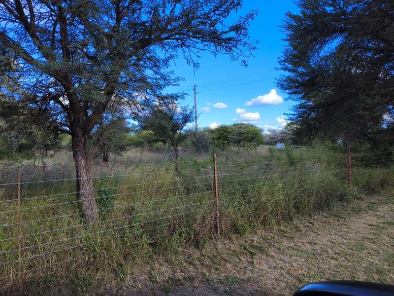 A view of the farm grounds featuring natural vegetation, mature trees, and a perimeter wire fence.