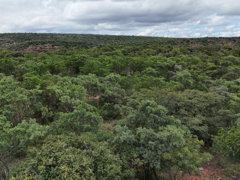 An aerial view of a vast, densely wooded landscape with natural vegetation and rolling terrain under a cloudy sky.
