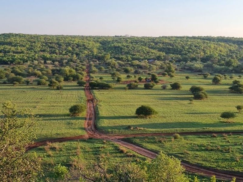 An aerial view of a large, open residential land plot featuring natural vegetation and dirt access tracks.