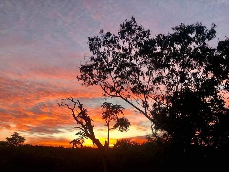 A scenic view of the sunset over the vacant land, showcasing the natural landscape and horizon.