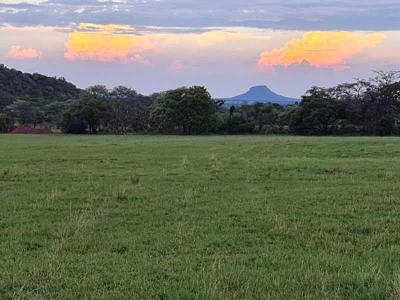 A scenic view of the vacant residential land featuring open grassland, mature trees, and a distant mountain silhouette under a sunset sky.