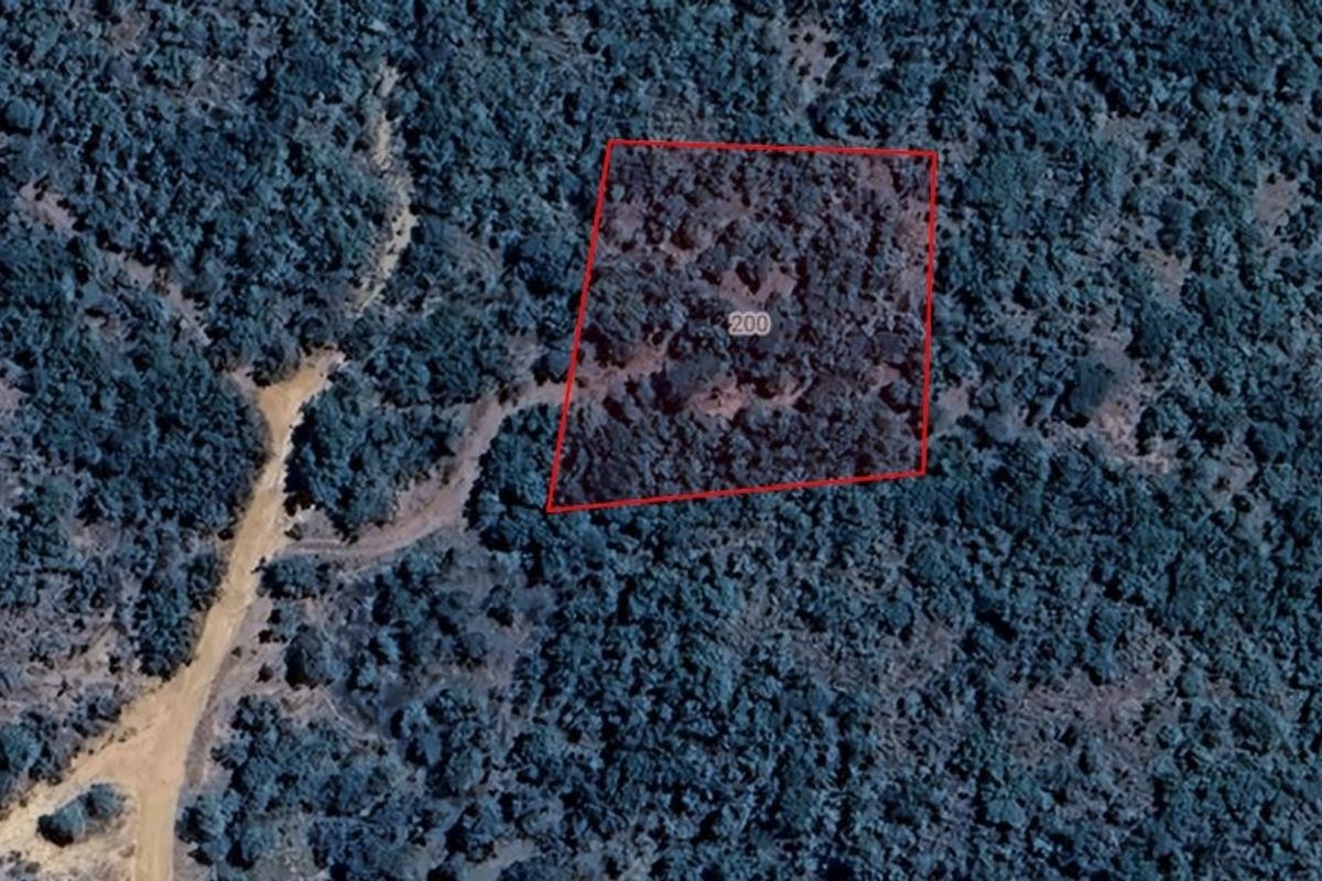 An aerial view of a vacant residential plot featuring dense natural vegetation and access via a nearby dirt road.