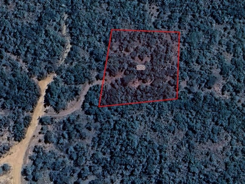 An aerial view of a vacant residential plot featuring dense natural vegetation and access via a nearby dirt road.