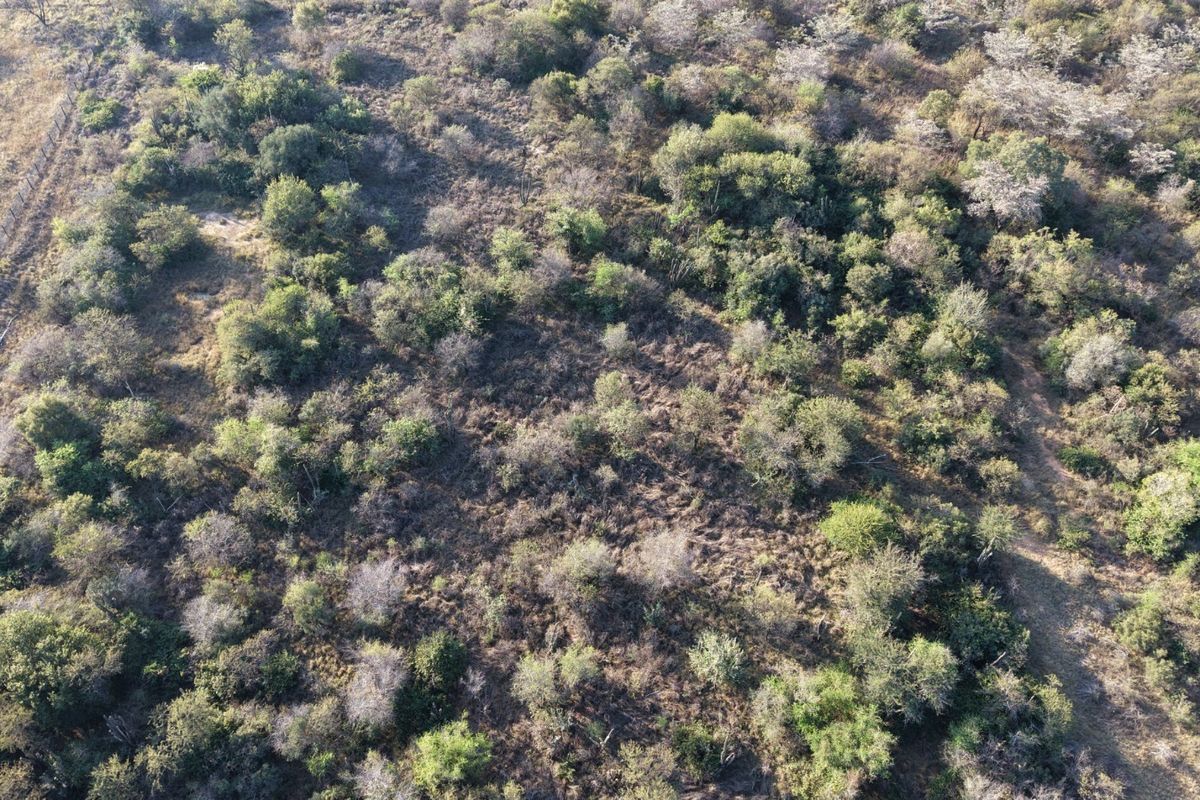 An aerial view of a vacant residential plot featuring dense native vegetation and perimeter fencing.