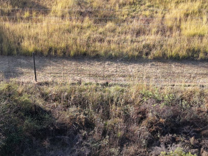 Aerial view of a vacant residential plot featuring natural grassland, native vegetation, and perimeter wire fencing.