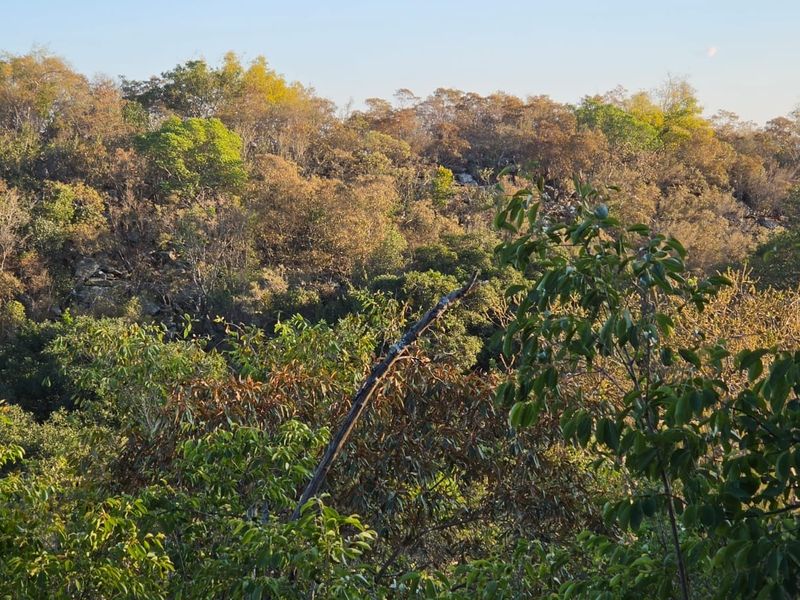 A scenic view of the natural landscape featuring dense native vegetation and rocky terrain on the vacant residential property.