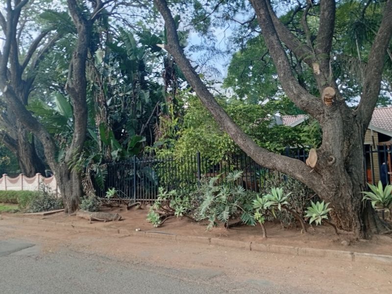 A street-level view of the property boundary featuring mature trees, established garden landscaping, and secure metal perimeter fencing along the roadside.