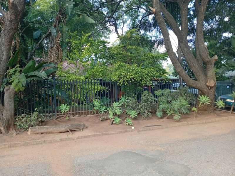 Street view of the property frontage featuring mature trees, established garden landscaping, and metal security fencing along the boundary.