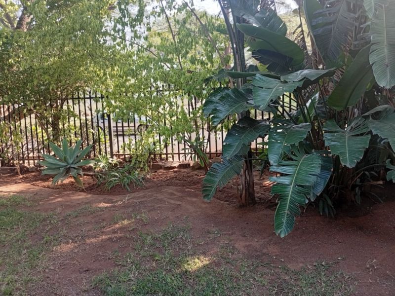 A garden area featuring established trees, shrubs, and metal perimeter fencing.