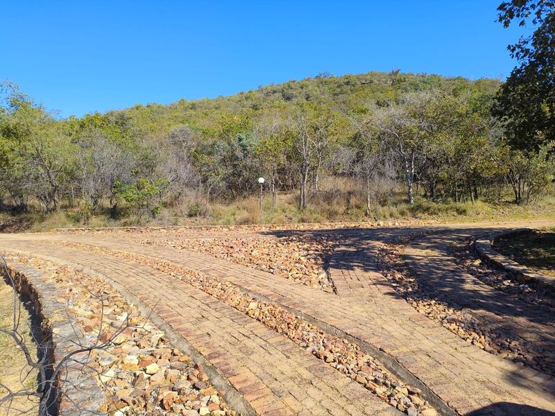 A view of a brick-paved driveway leading into a natural, sloped landscape with mature trees and vegetation.