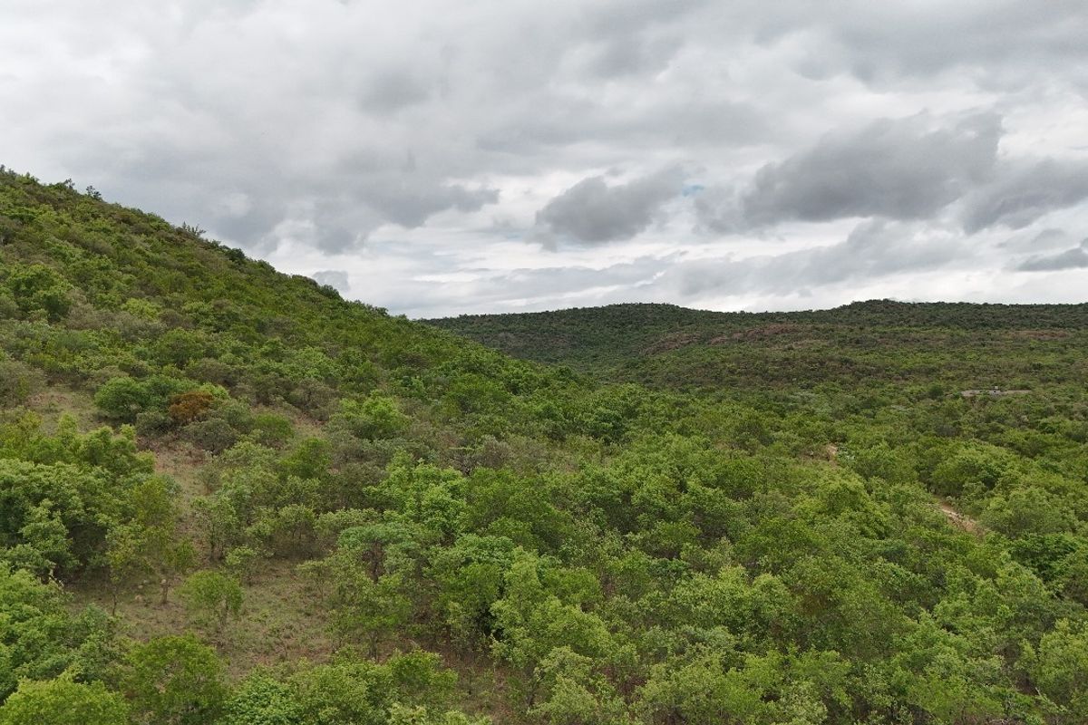 A scenic elevated view of the natural landscape featuring rolling hills covered in native vegetation under a cloudy sky.
