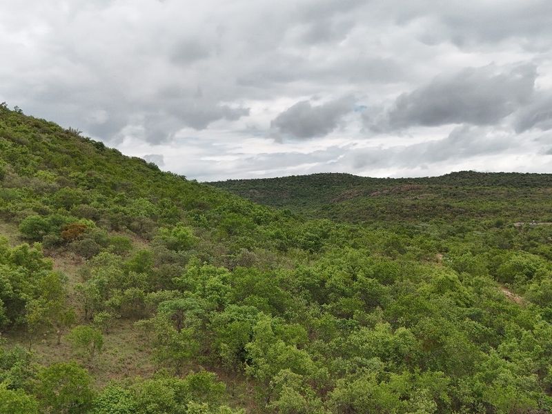 A scenic elevated view of the natural landscape featuring rolling hills covered in native vegetation under a cloudy sky.