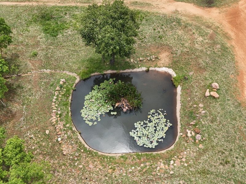 An aerial view of a natural pond with stone edging and water lilies, situated within a grassy landscape on the residential property.