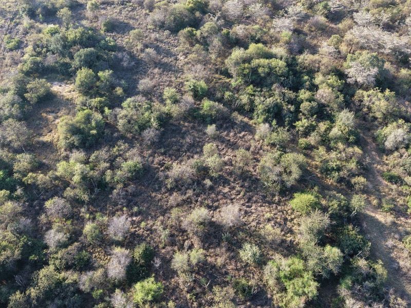 An aerial view of a vacant residential plot featuring dense native vegetation and perimeter fencing.
