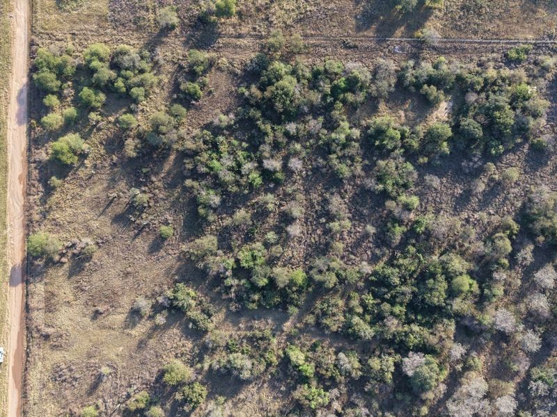 An aerial view of a vacant residential plot featuring natural vegetation and adjacent dirt access roads.