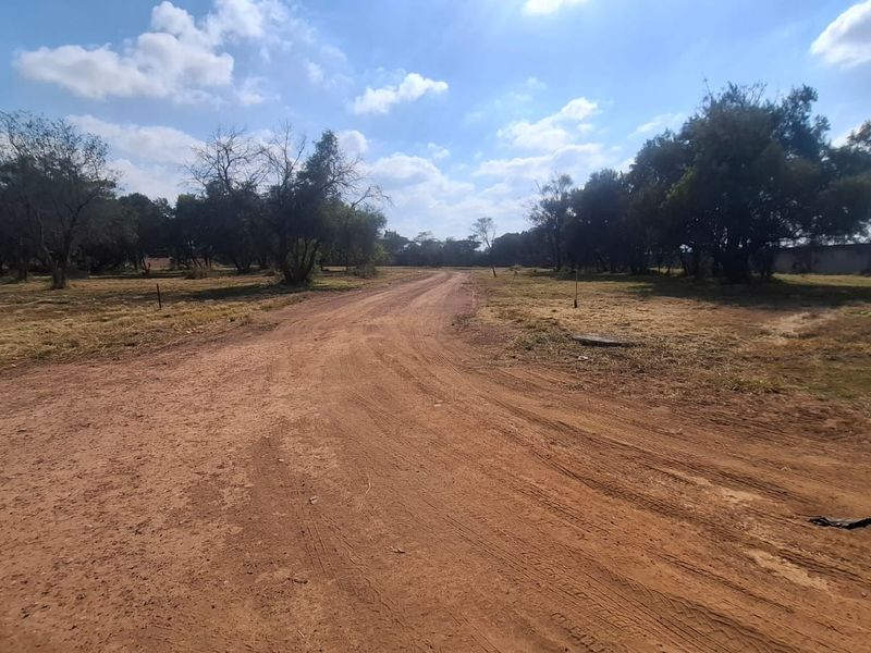A view of the vacant residential land featuring a dirt access road and surrounding mature trees.