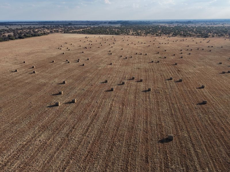 An aerial view of a large, harvested agricultural field featuring numerous hay bales across the expansive rural landscape.