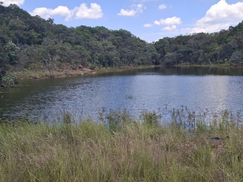 A scenic view of a natural dam surrounded by lush indigenous trees and native grasses on the farm property.