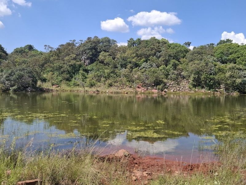 A scenic view of a natural farm pond surrounded by lush indigenous trees and rocky terrain under a clear blue sky.