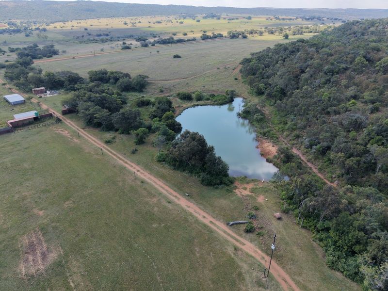Aerial view of the farm property featuring a natural dam, surrounding grazing land, established trees, and access roads with distant outbuildings.