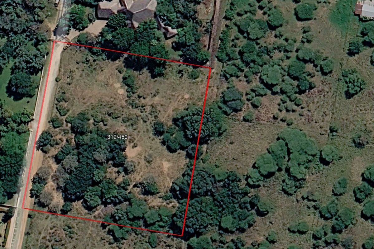 Aerial view of a vacant residential plot featuring natural vegetation and defined boundary lines.