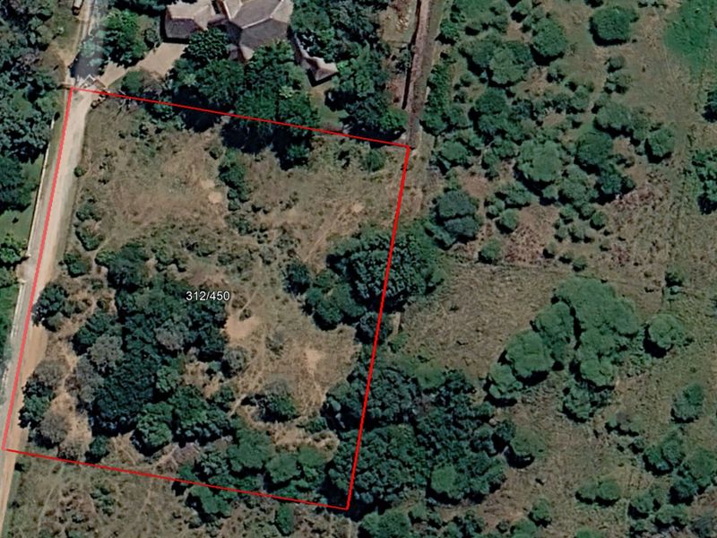 Aerial view of a vacant residential plot featuring natural vegetation and defined boundary lines.
