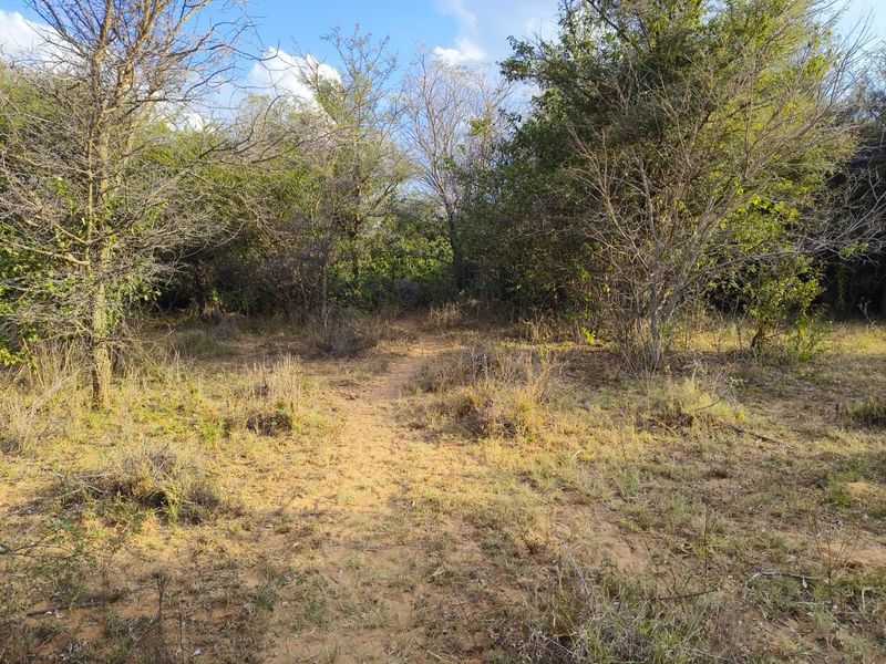 A natural, undeveloped residential plot featuring native trees, shrubs, and a cleared walking path through the landscape.