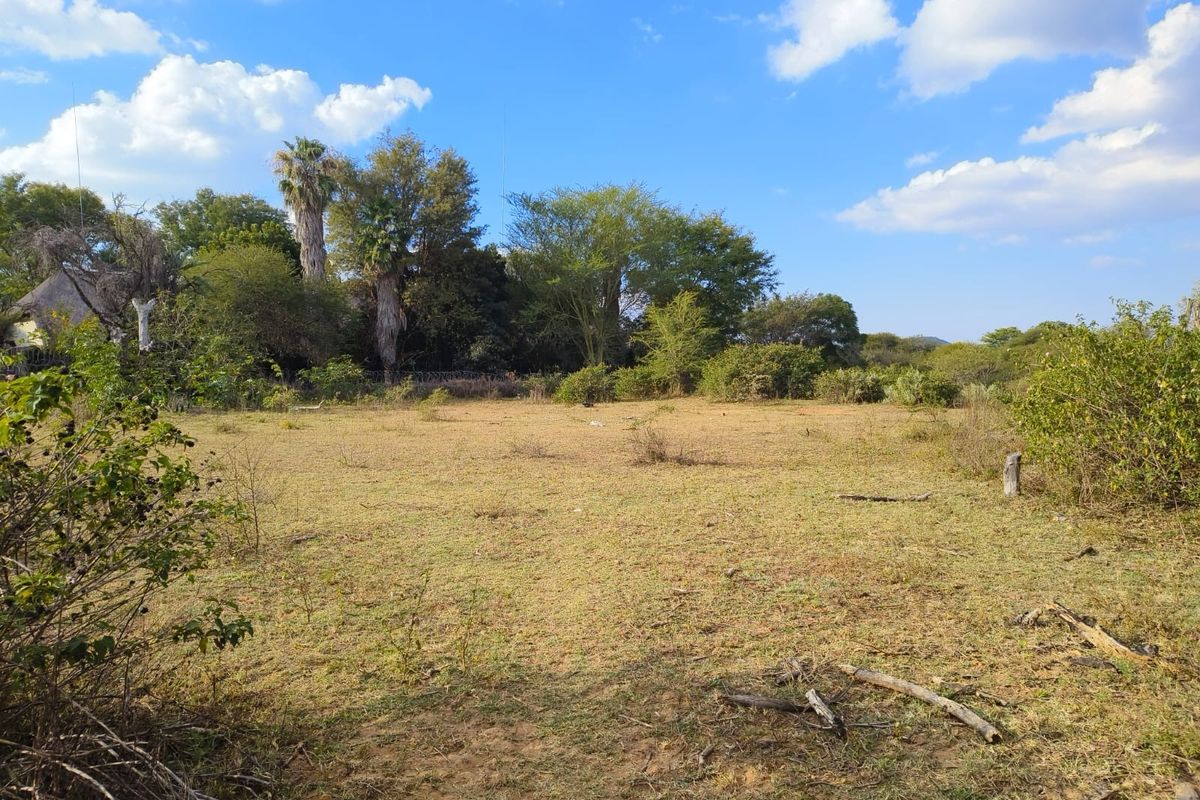 A view of a vacant residential plot featuring natural vegetation and mature trees, offering a blank canvas for future development.
