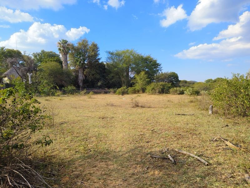 A view of a vacant residential plot featuring natural vegetation and mature trees, offering a blank canvas for future development.