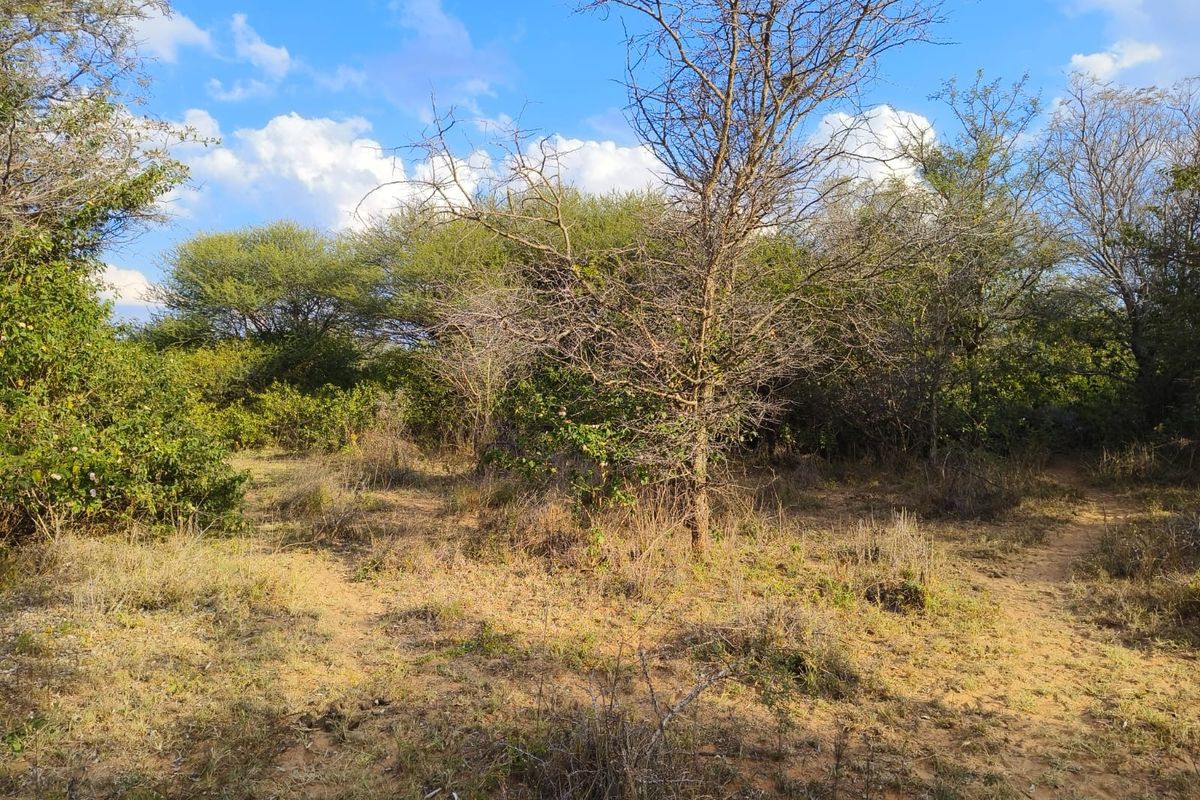 A view of the vacant residential land featuring natural vegetation and mature trees on the plot.